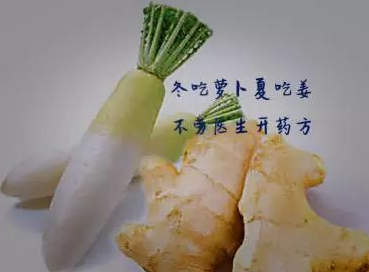 智慧食堂分享為什么說(shuō)冬吃蘿卜夏吃姜